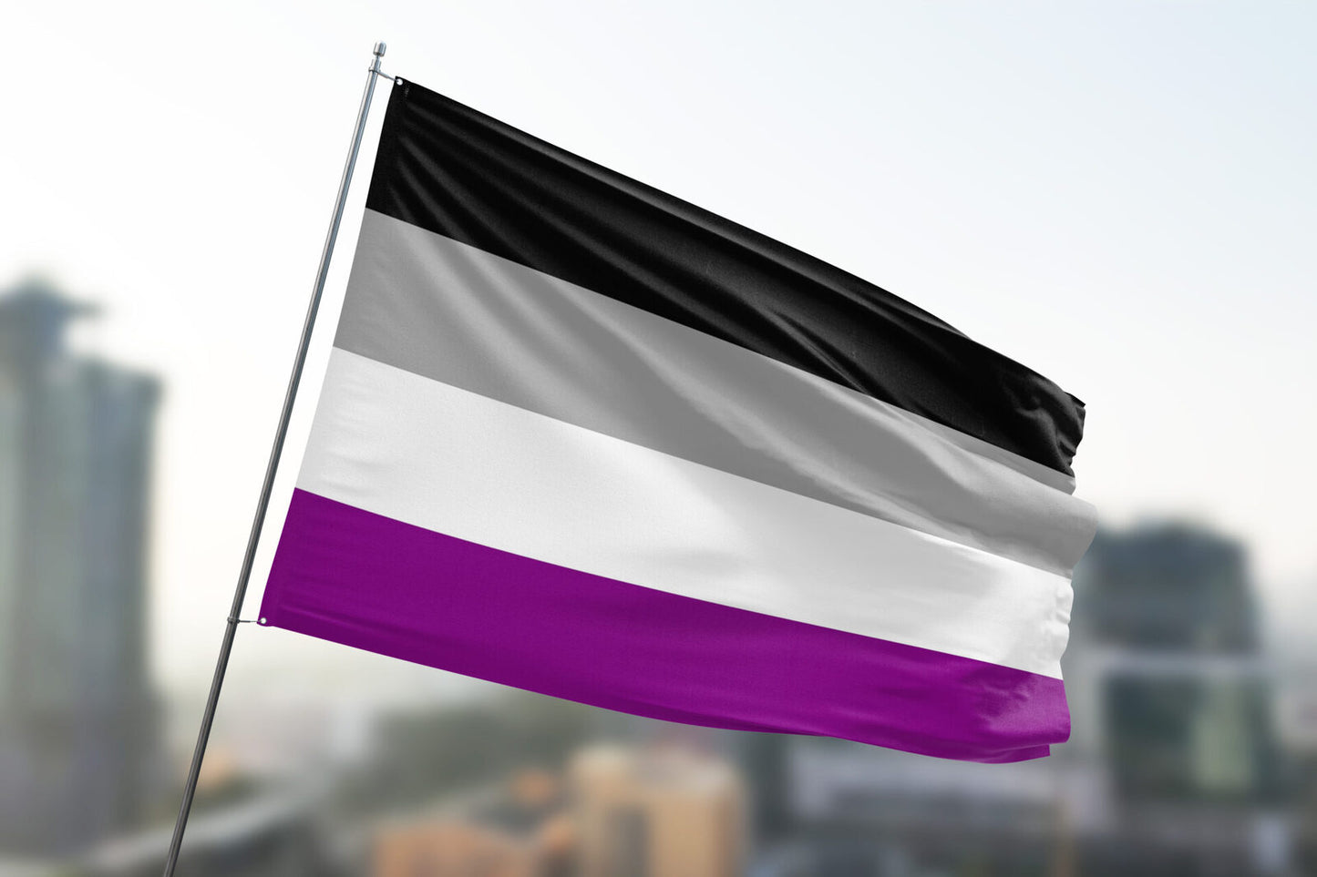 Large Asexual Flag Heavy Duty Outdoor 90 X 150 CM - 3ft x 5ft - Homeware Discounts