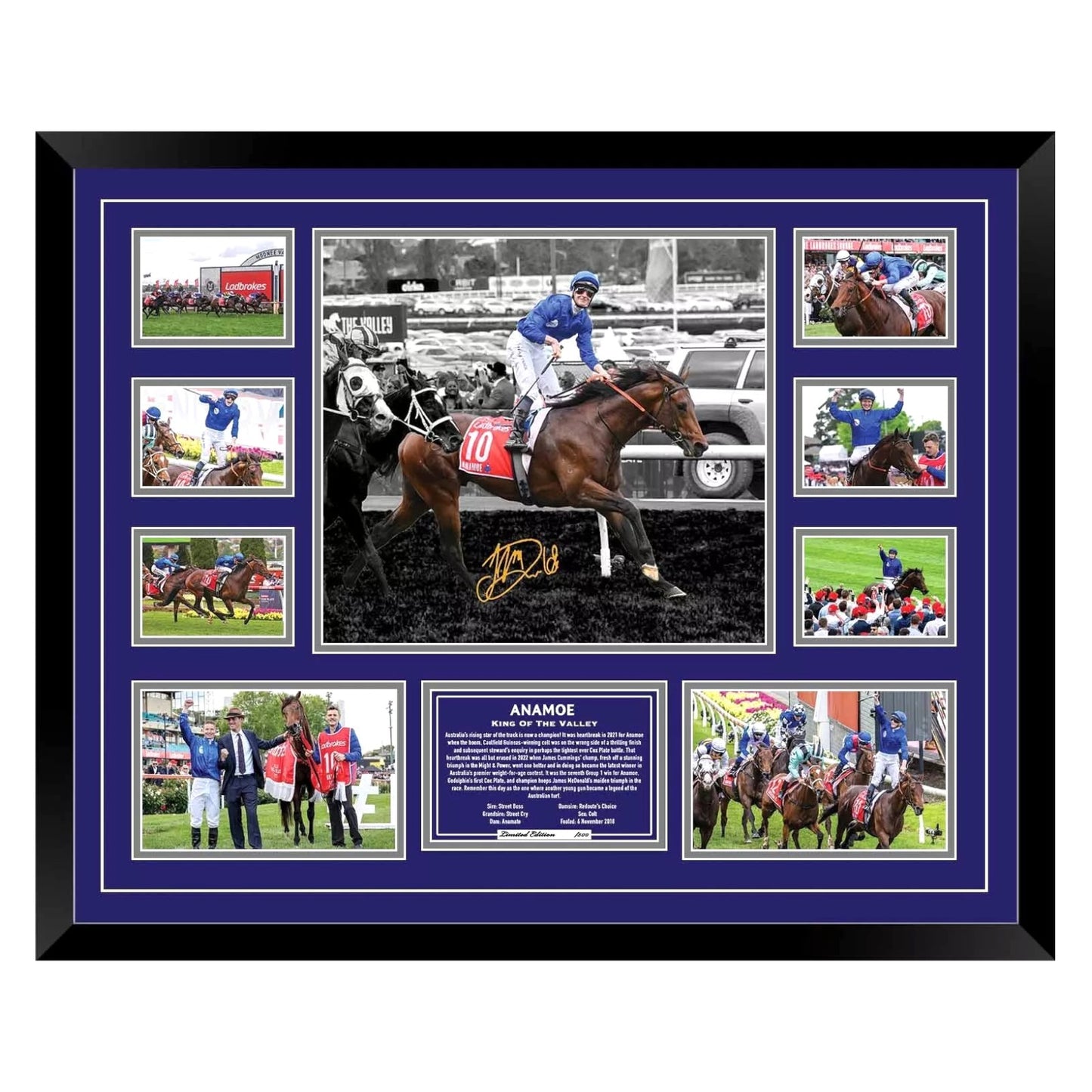 Anamoe Cox Plate 2022 James McDonald Limited Photo Memorabilia Frame - My Store