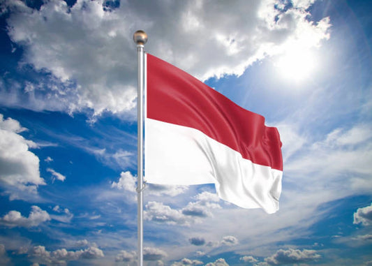 Large Indonesia Indonesian Flag Heavy Duty Outdoor 90 X 150 CM - 3ft x 5ft