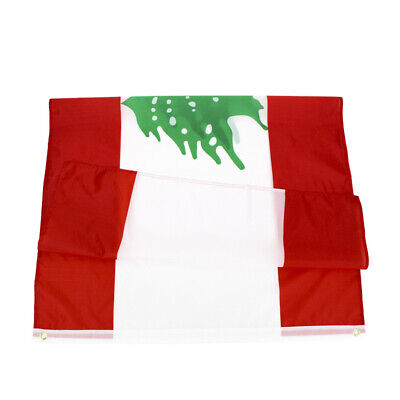2-PACK Large Lebanon Lebanese Flag Heavy Duty Outdoor LB 90x150cm - 3x5ft - My Store