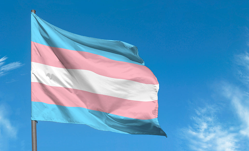 Large Transgender Flag Heavy Duty Outdoor Gay 90 X 150 CM - 3ft x 5ft - Homeware Discounts