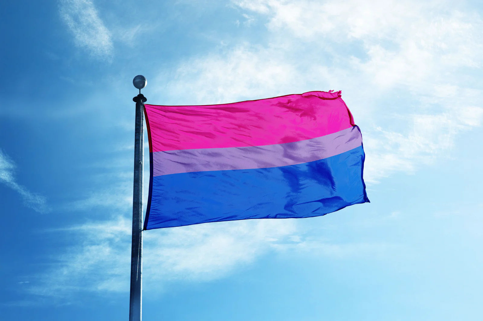Large Bisexual Flag Heavy Duty Outdoor 90 X 150 CM - 3ft x 5ft - Homeware Discounts