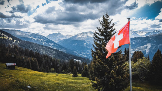 Large Switzerland Flag Heavy Duty Outdoor Swiss Suisse 90 X 150 CM - 3ft x 5ft - Homeware Discounts