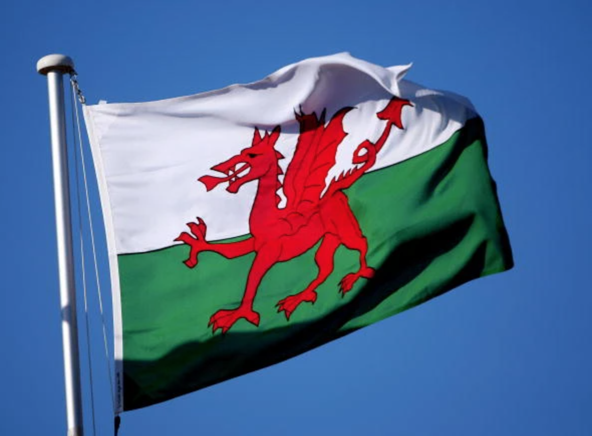 Large Wales Welsh Flag Heavy Duty Outdoor 90 X 150 CM - 3ft x 5ft - Homeware Discounts