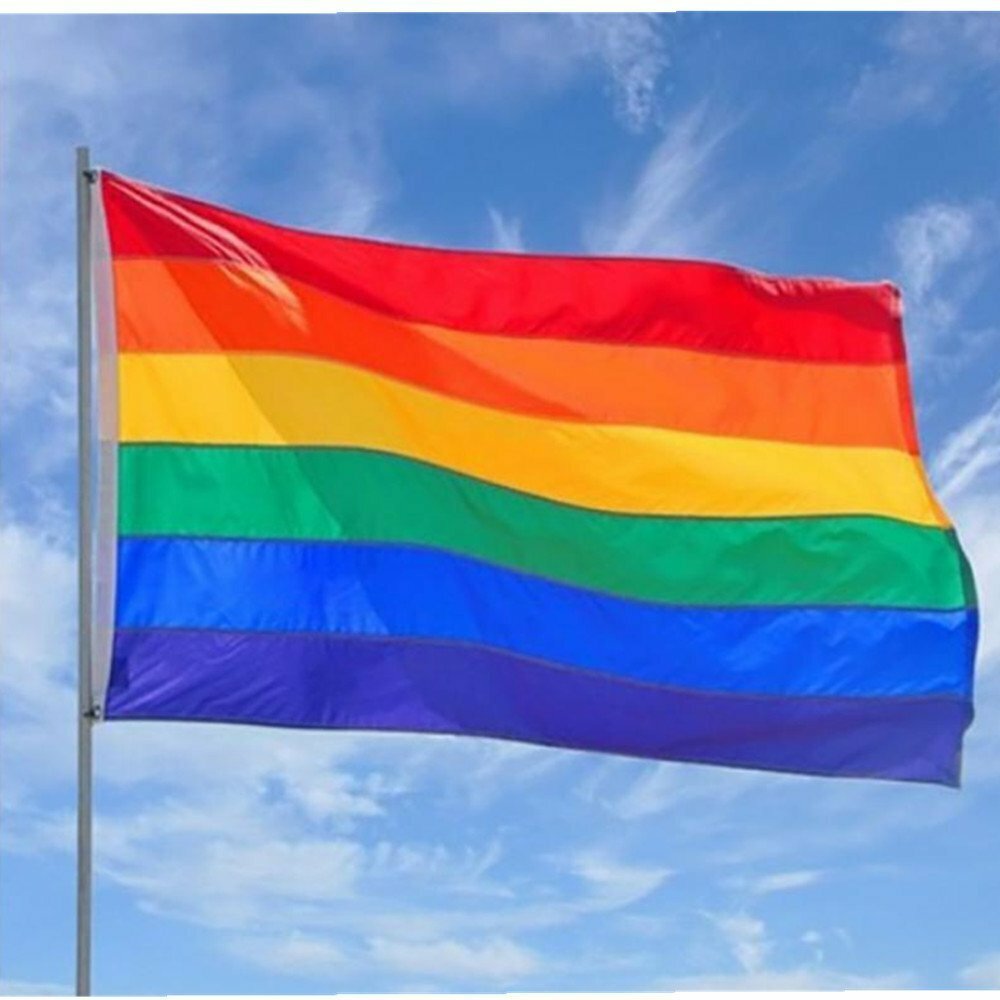 Rainbow Pride Flag Gay Lesbian LGBT Mardi Gras Party Banner Outdoor 90 x 150 CM - Homeware Discounts