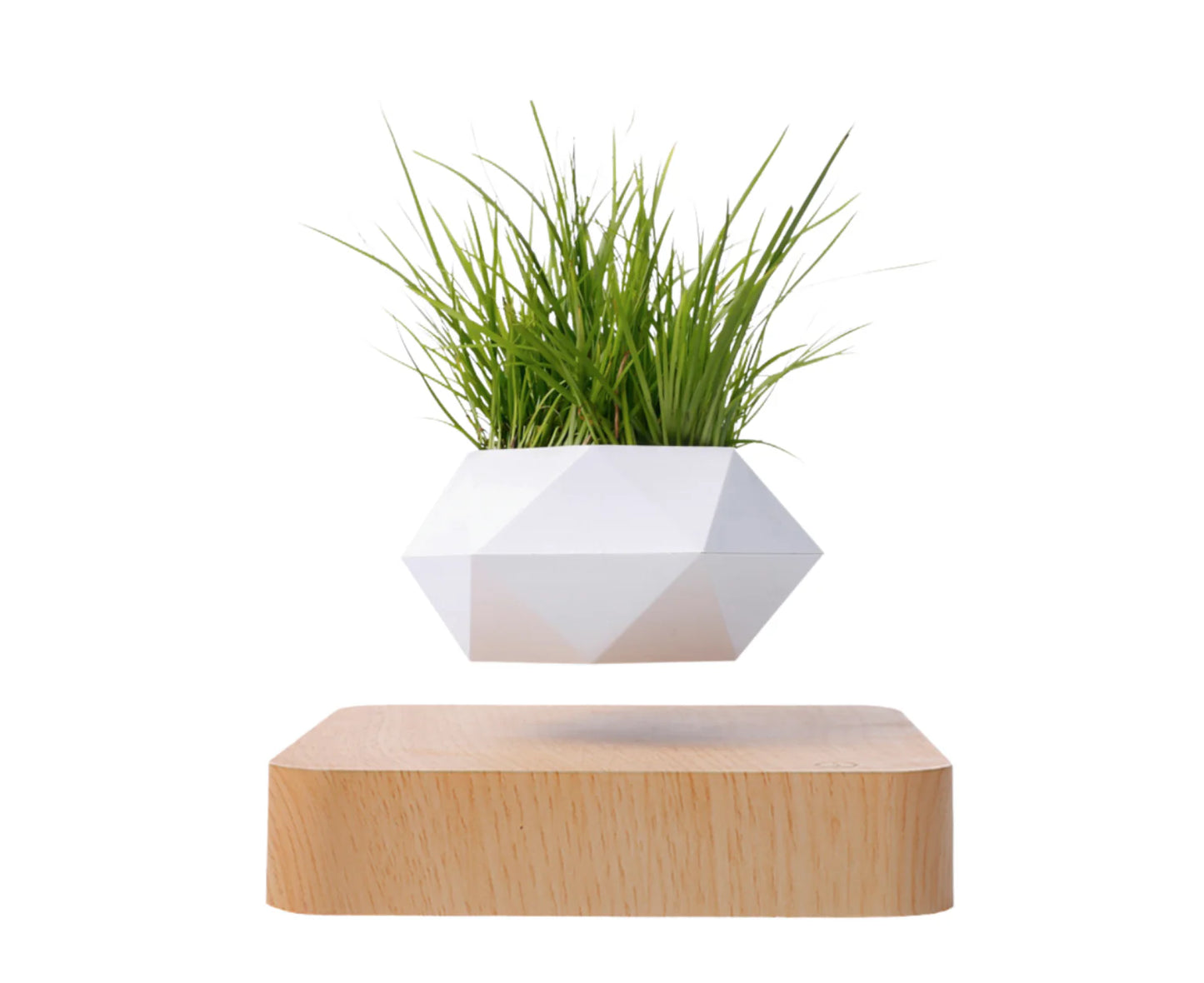 Levitating Flower Pot Floating Bonsai Plant Desk Decor Indoor Floating Planter - Homeware Discounts