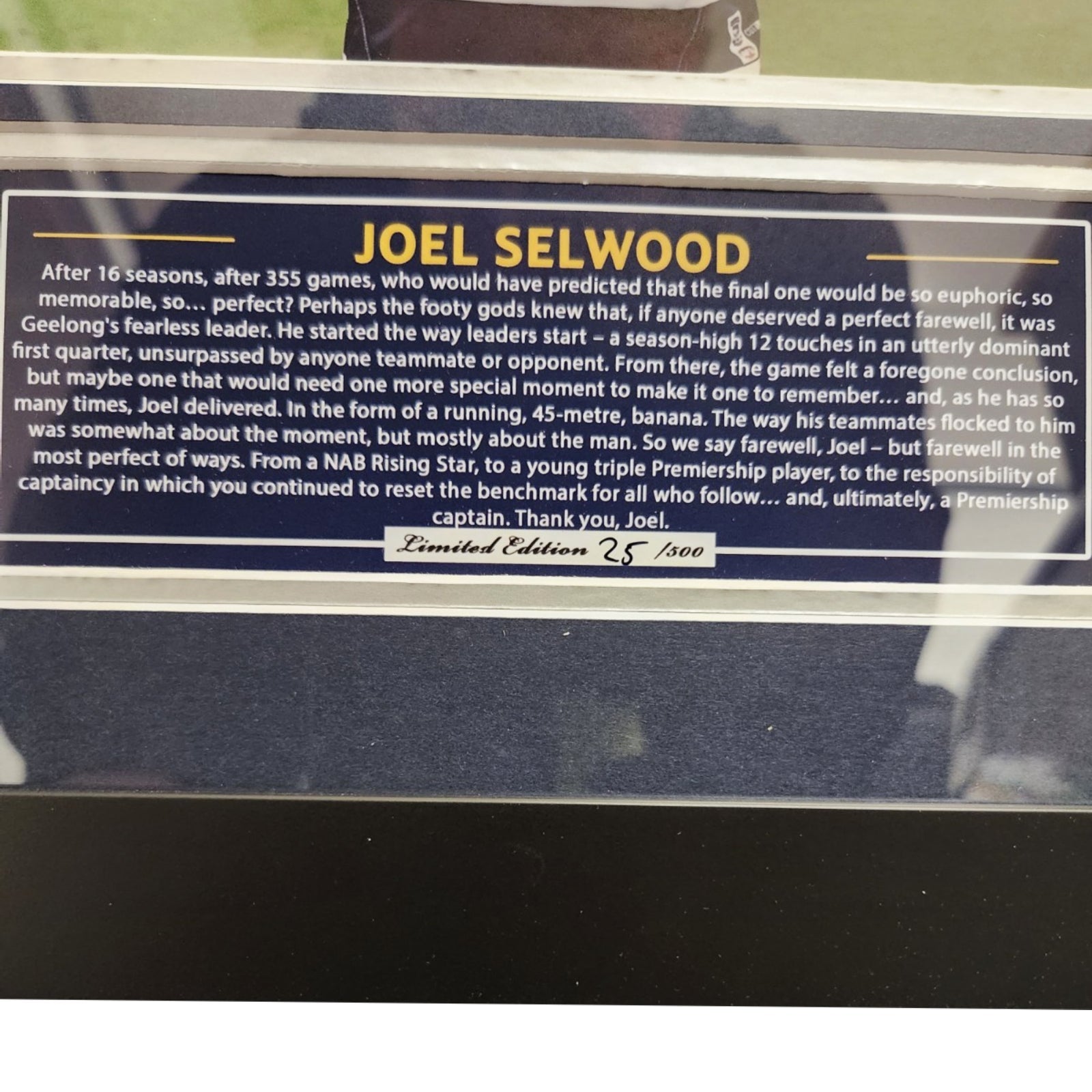 2022 Joel Selwood Geelong Cats 56CM x 46CM Wooden Frame - Homeware Discounts