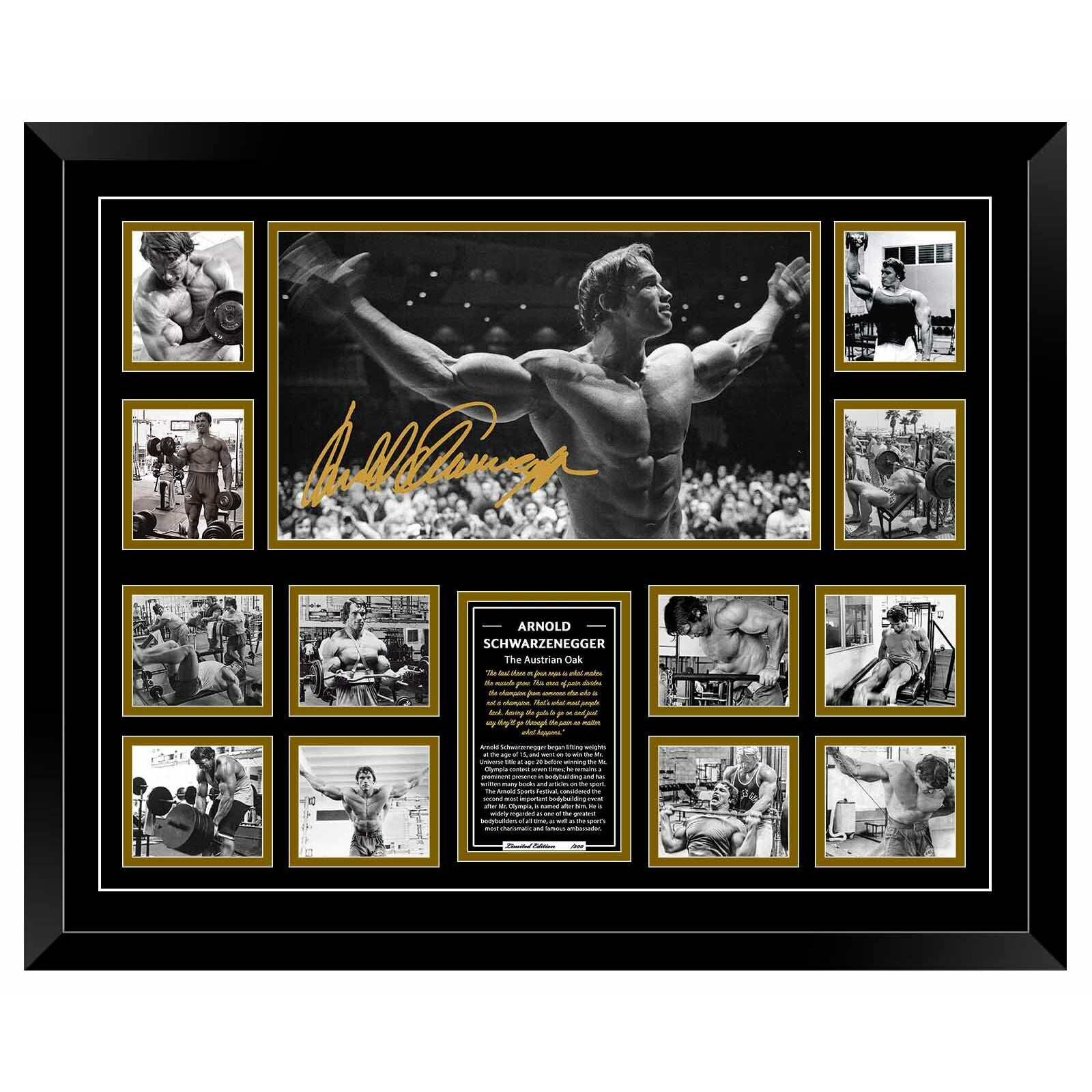 ARNOLD SCHWARZENEGGER MR OLYMPIA BODY BUILDING Limited Edition Photo Memorabilia Wooden Frame - Homeware Discounts