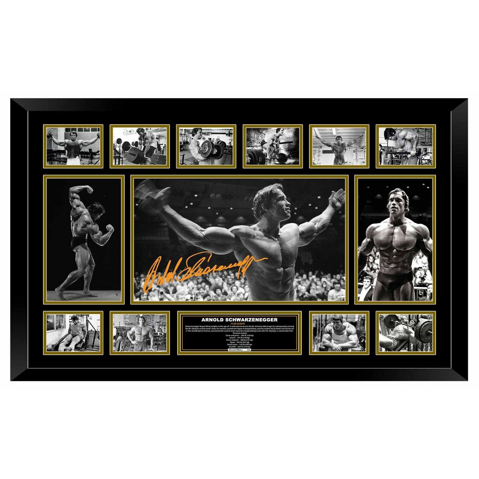 ARNOLD SCHWARZENEGGER MR OLYMPIA BODY BUILDING Signed Framed Limited Edition 86cmx56cm Photo Memorabilia Wooden Frame - Homeware Discounts