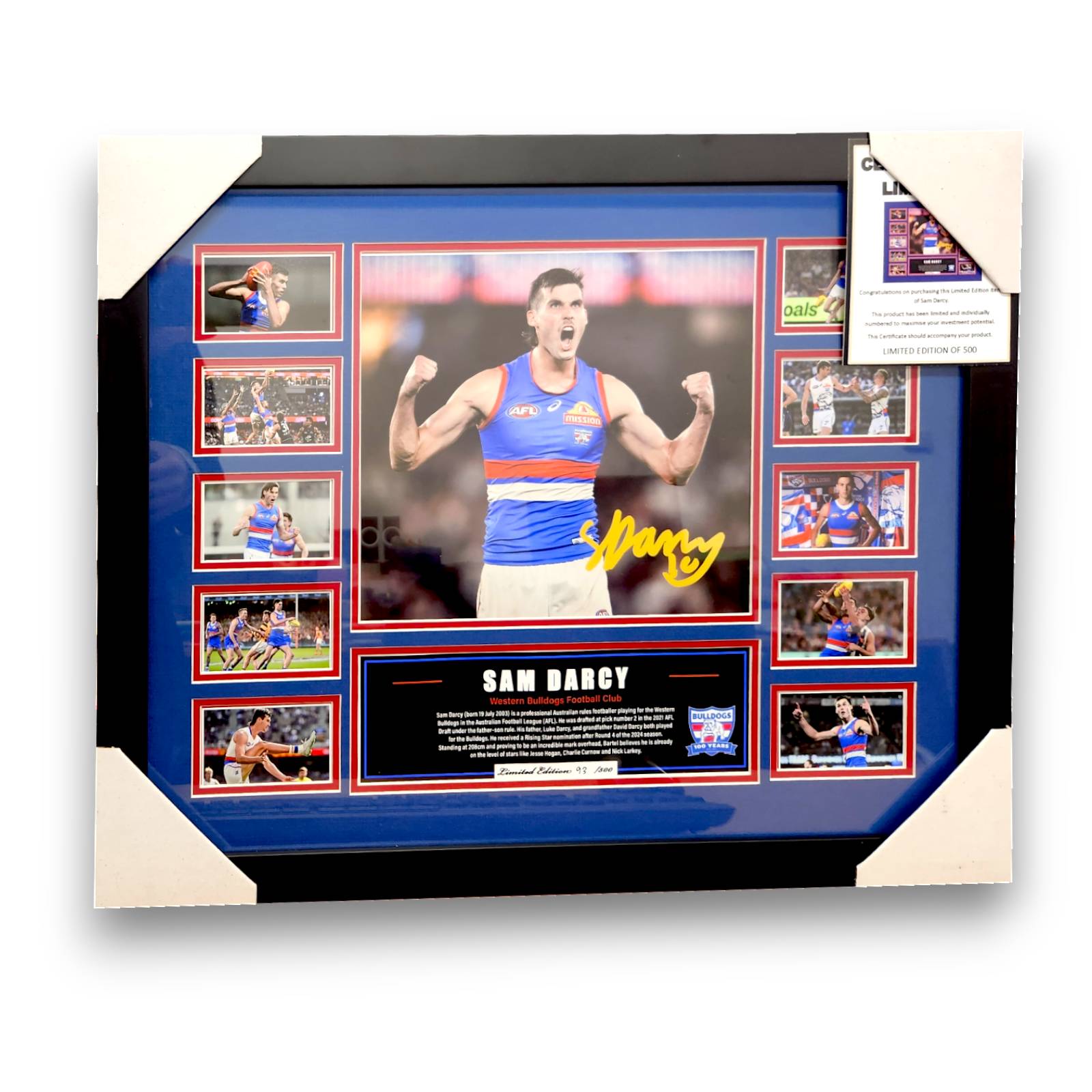 Sam Darcy Western Bulldogs 56CM x 46CM Team Poster Wooden Frame MEMORABILIA - My Store