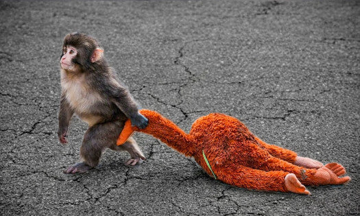 65/85cm Punch Monkey IKEA DJUNGELSKOG Orangutan Plush sof toy Fluffy Monkey Plush - My Store