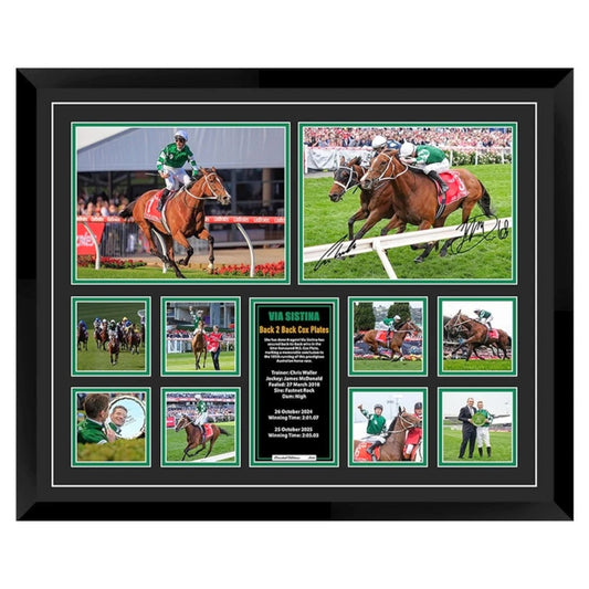 Via Sistina Back To Back Cox Plates James Mcdonald Signed Limited Photo Memorabilia Frame - My Store